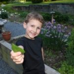 boy in garden at Educating Today