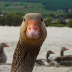 Are You Talking To Me?